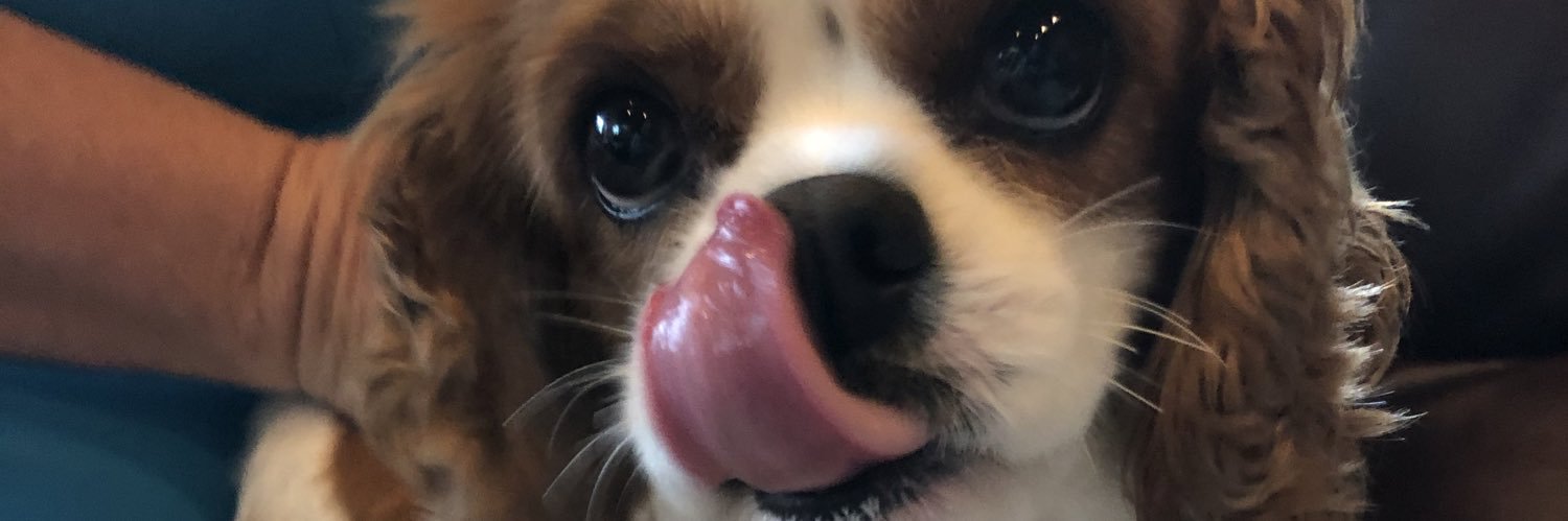allygoldie's profile banner image
