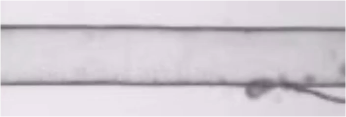 Chris_P_Stanley's profile banner image