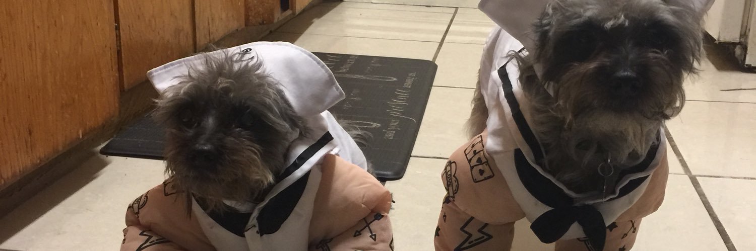 kizzzybit's profile banner image