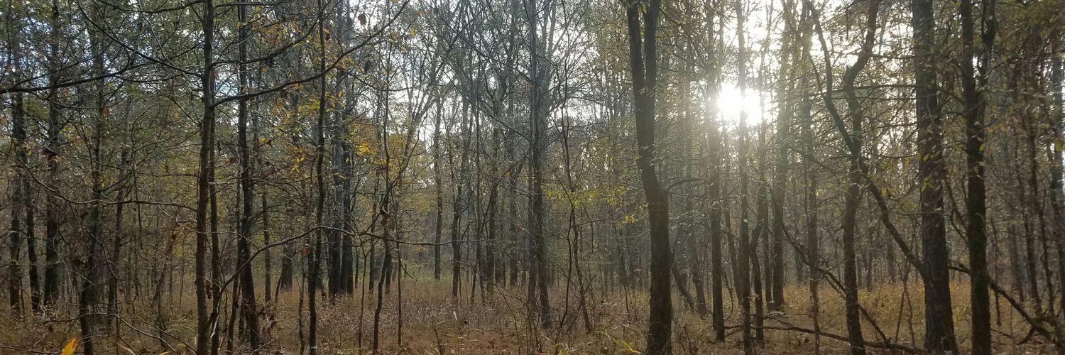 beamt_6's profile banner image