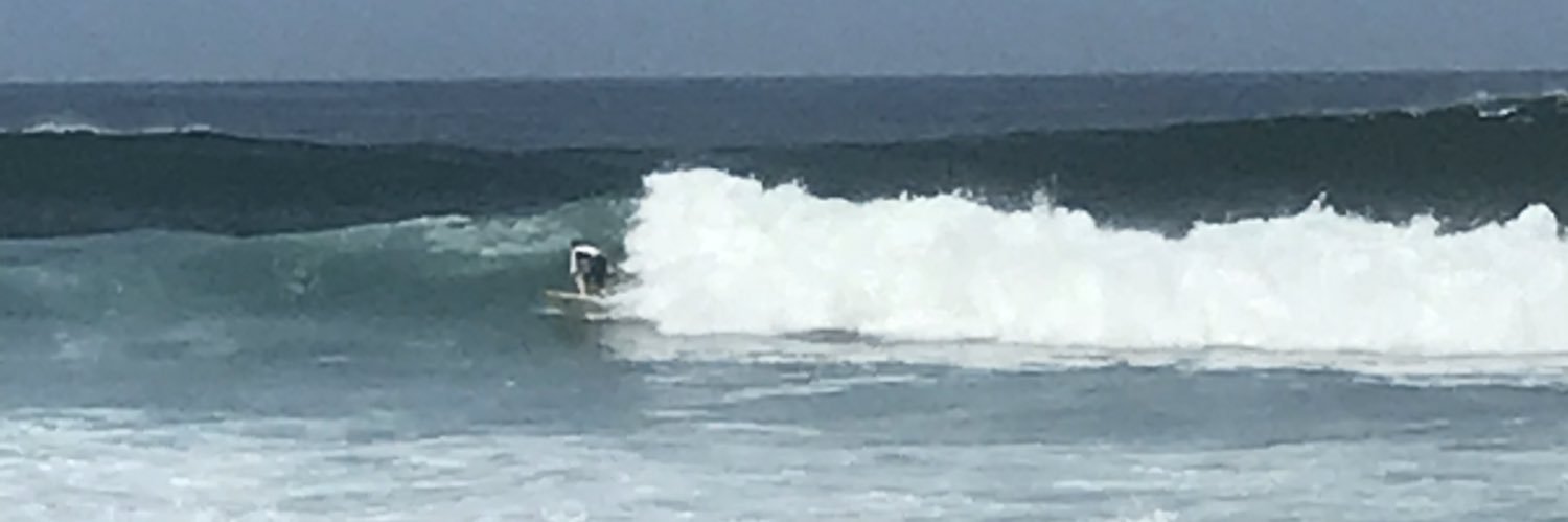 Mike severino banner