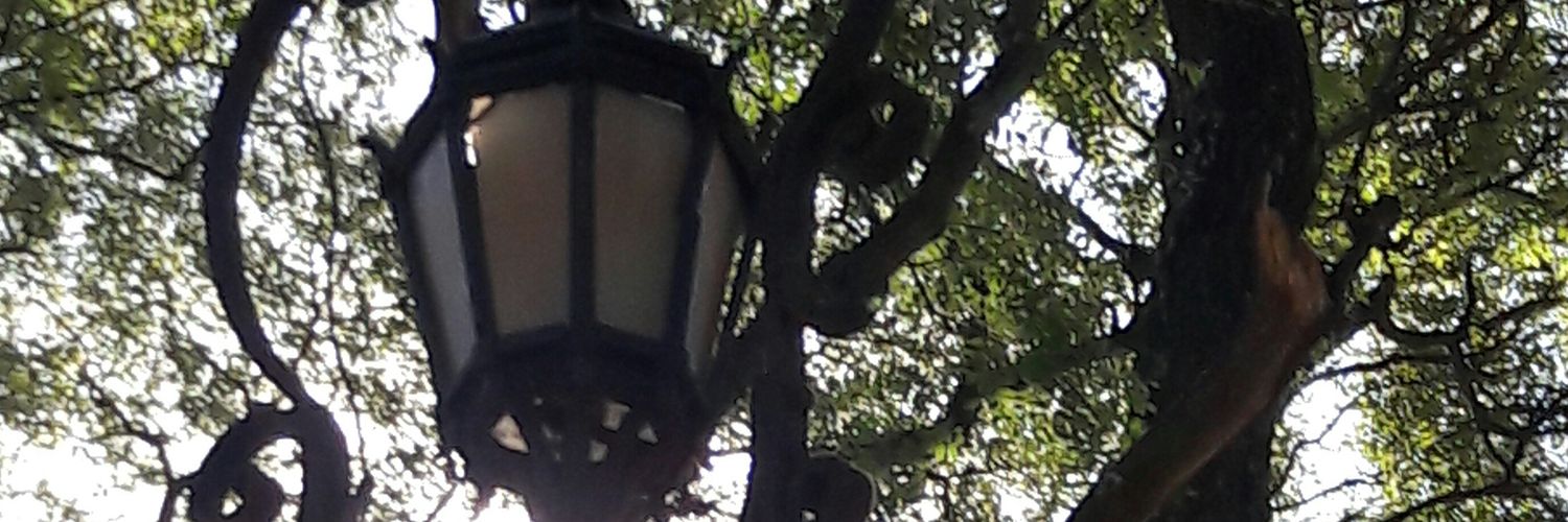 NormaMalujav's profile banner image