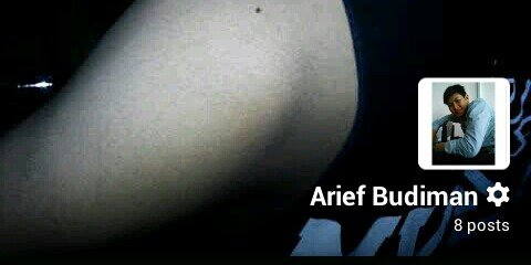 arievsid's profile banner image