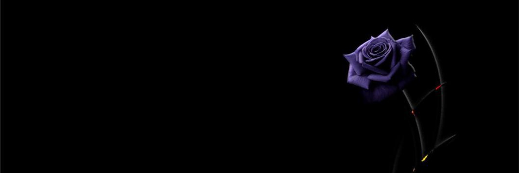 WillihCard's profile banner image