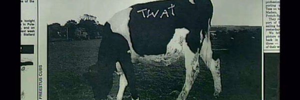 elizofbeth Profile Banner