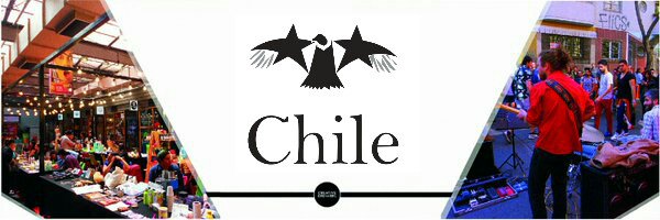 Aves de Chile banner