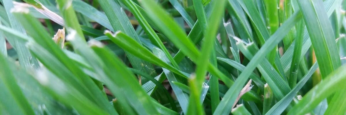 tahir074's profile banner image