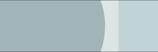 Max Rettig banner