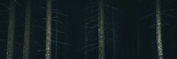 stroggster Profile Banner