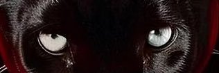 kainamaciel's profile banner image