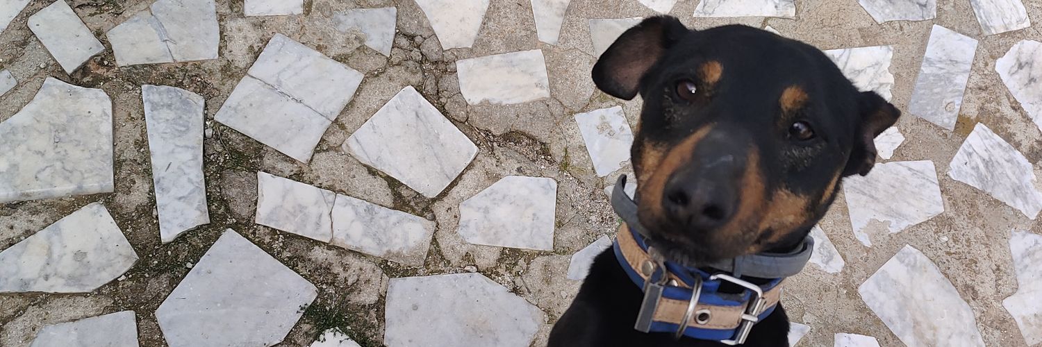 pitopaentro's profile banner image