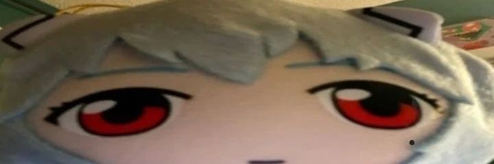 Sapeca banner