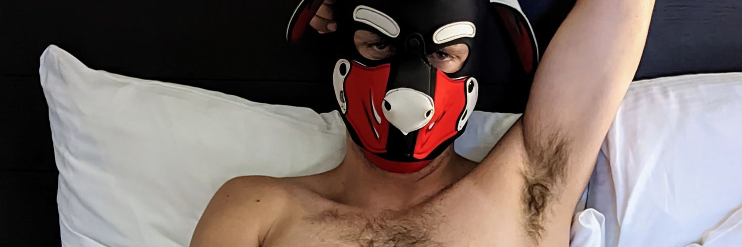 pupnico's profile banner image