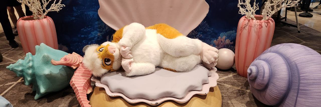 HamHamHammu's profile banner image