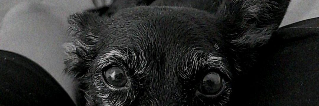 rubermarcus's profile banner image