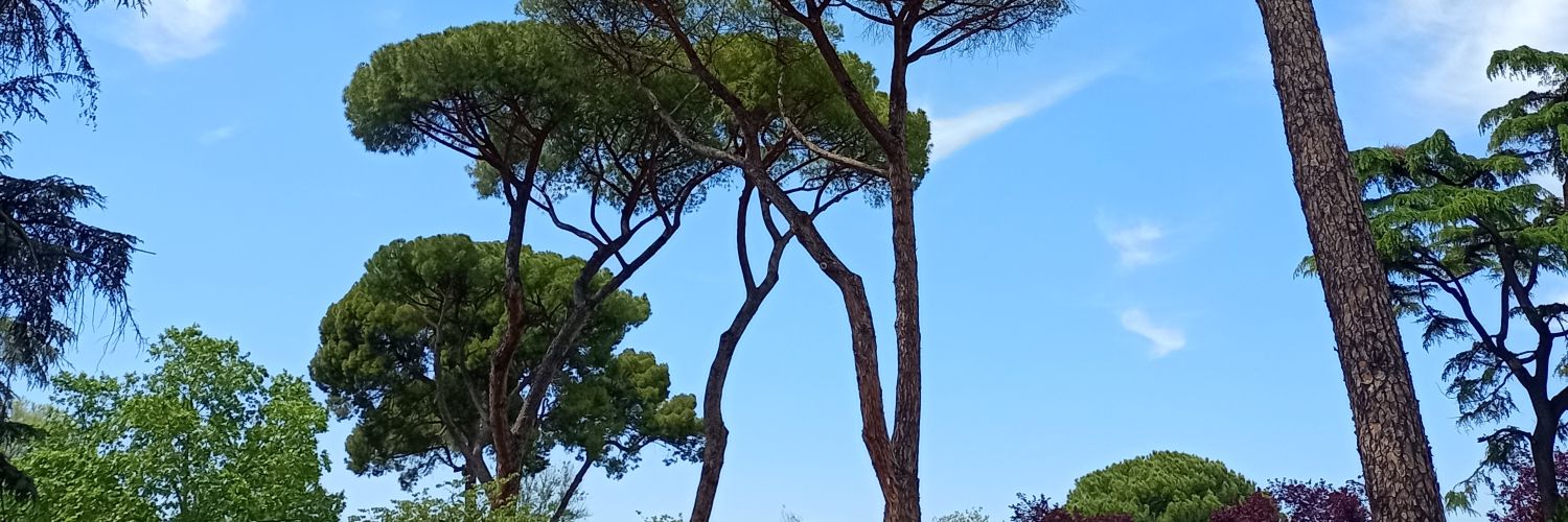 Alcrapo's profile banner image