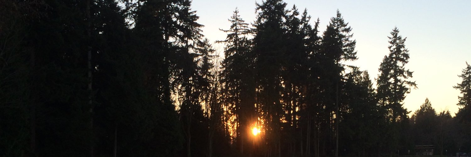 Stephanie DeMarco, PhD banner