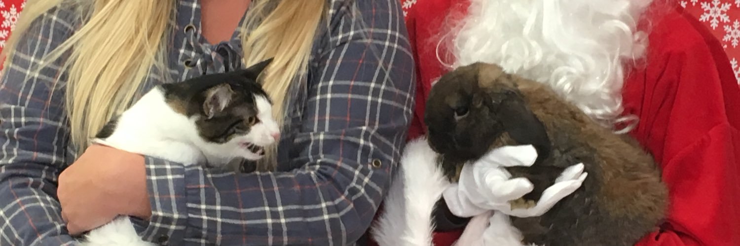 kaitlynharbison's profile banner image