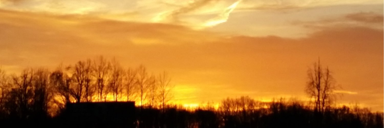 vividpeace's profile banner image