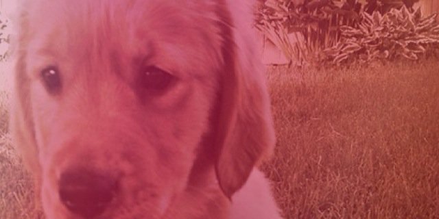 J_Way10's profile banner image