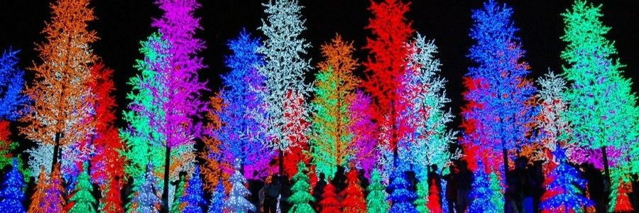 youngsournsb's profile banner image