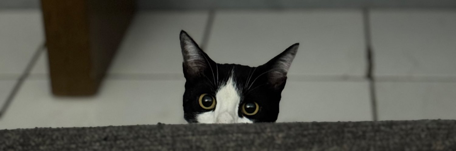 ddmatoss's profile banner image