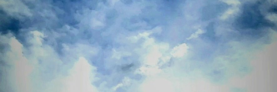 PoliticalPosse's profile banner image