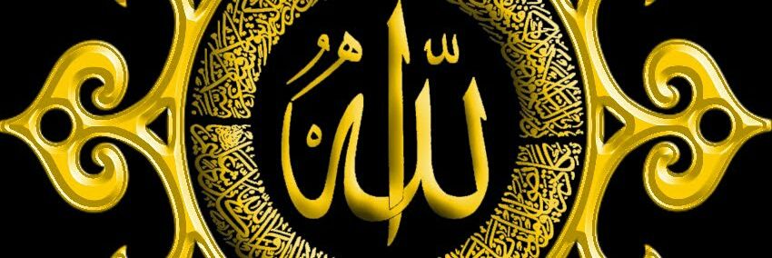 gul_dawar's profile banner image