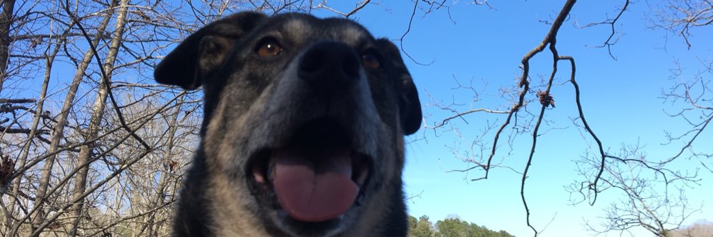 BuckinA's profile banner image