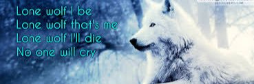 Rogue_moon_'s profile banner image