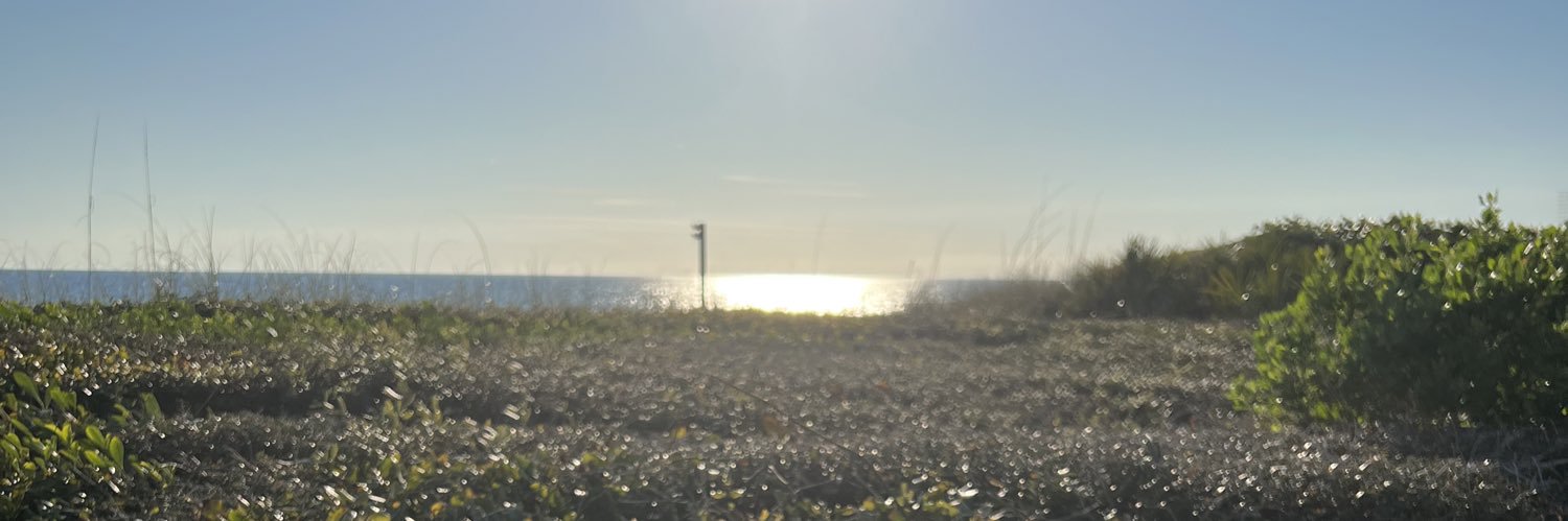 d_hartmann18's profile banner image