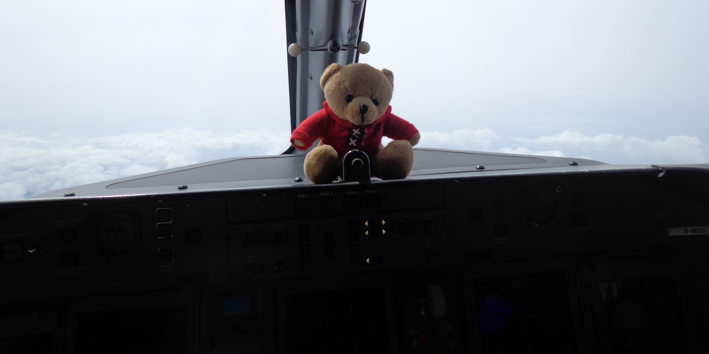 pilotbearmartin's profile banner image