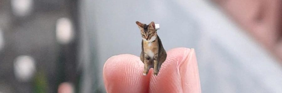 n0luem 🍷⚘️ banner