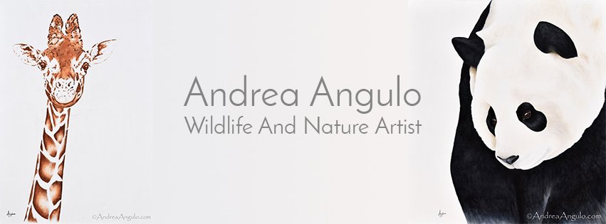 Andrea Angulo banner