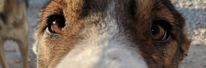 BlakeBozell's profile banner image