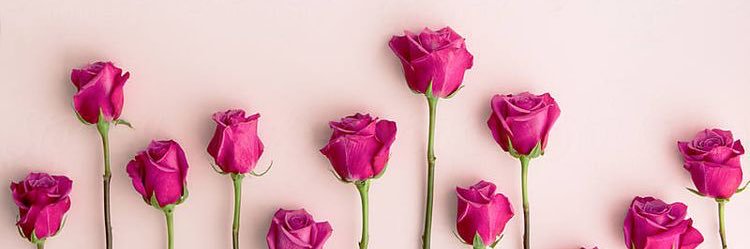 Miss girl🌸 banner