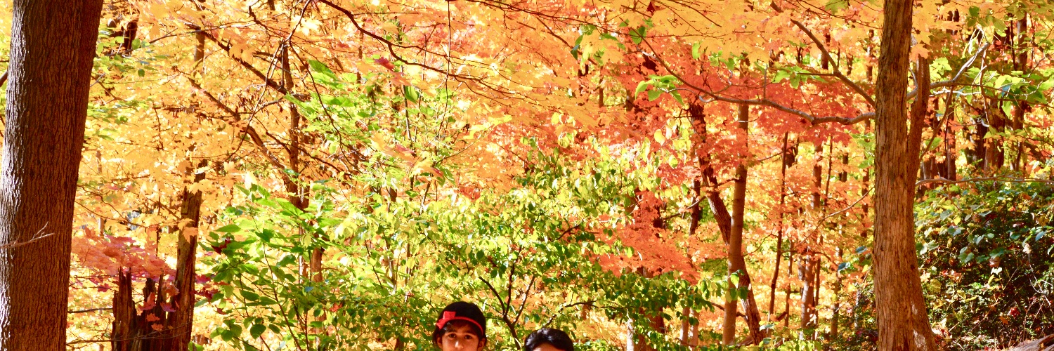 ParamVirSingh's profile banner image