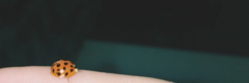 S_gone_G's profile banner image