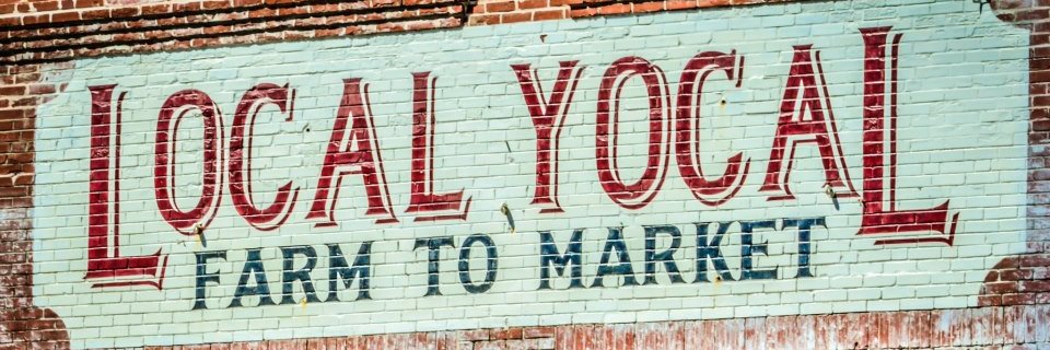 TheLocalYocals's profile banner image