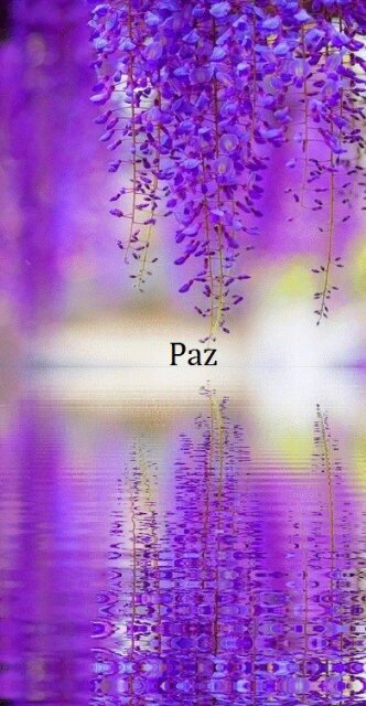 GresiaSanchez's profile banner image
