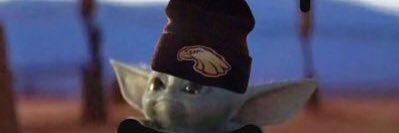 Robert Morris Baseball banner