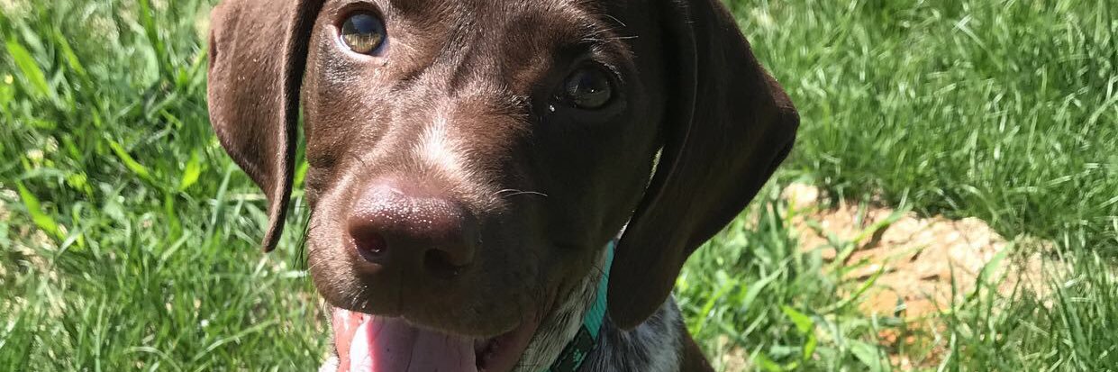 CarleeSutton's profile banner image
