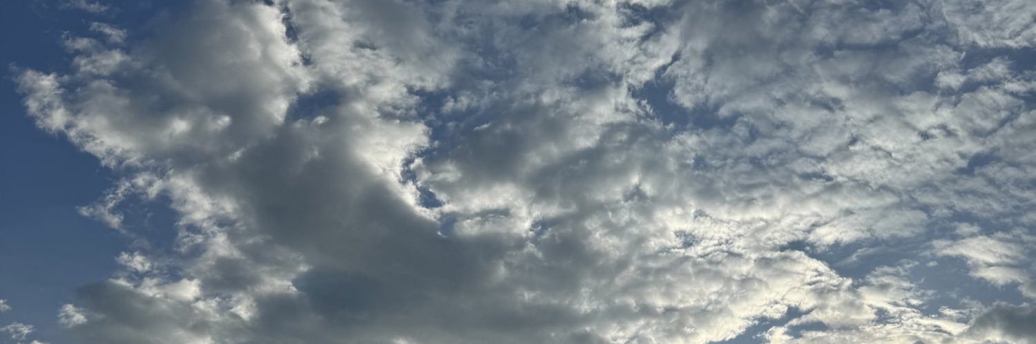 dsjt_20's profile banner image