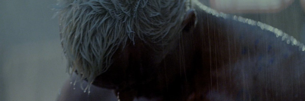 ellenmellon1's profile banner image