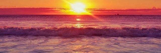 Qusheba Collins banner