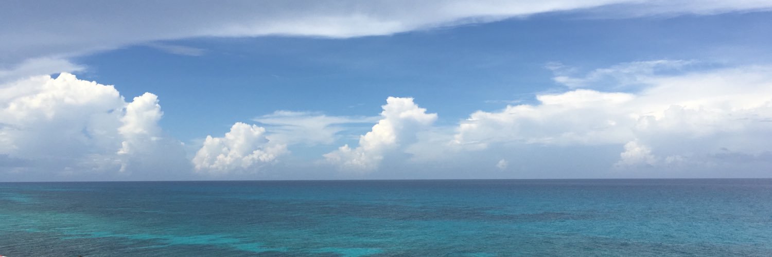 LoHollis's profile banner image
