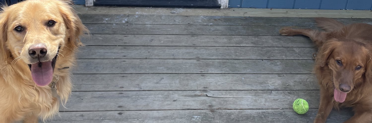 sick_jenna's profile banner image