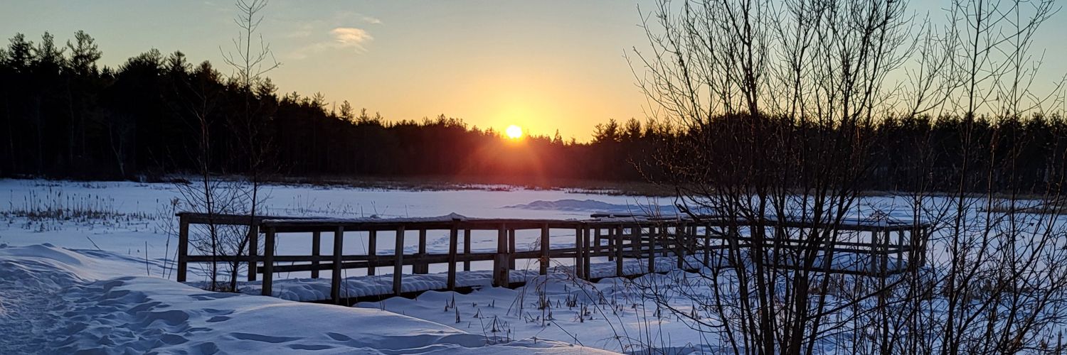 Nicklas Larsen banner