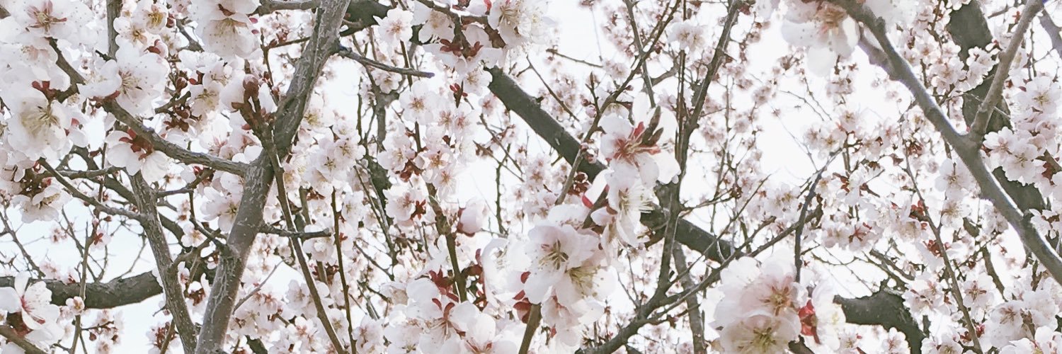 百合子 banner