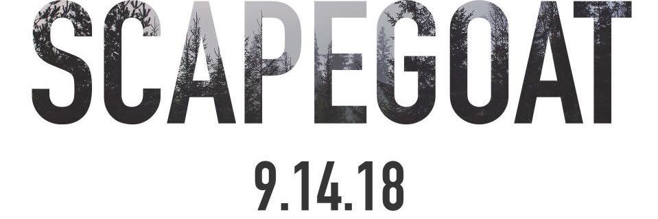 Vigilant_Ent's profile banner image